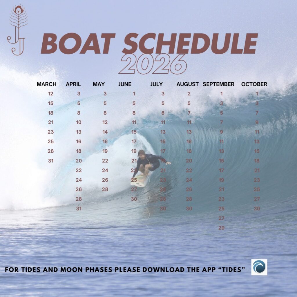 whatsapp image 2026 01 11 at 12.20.37